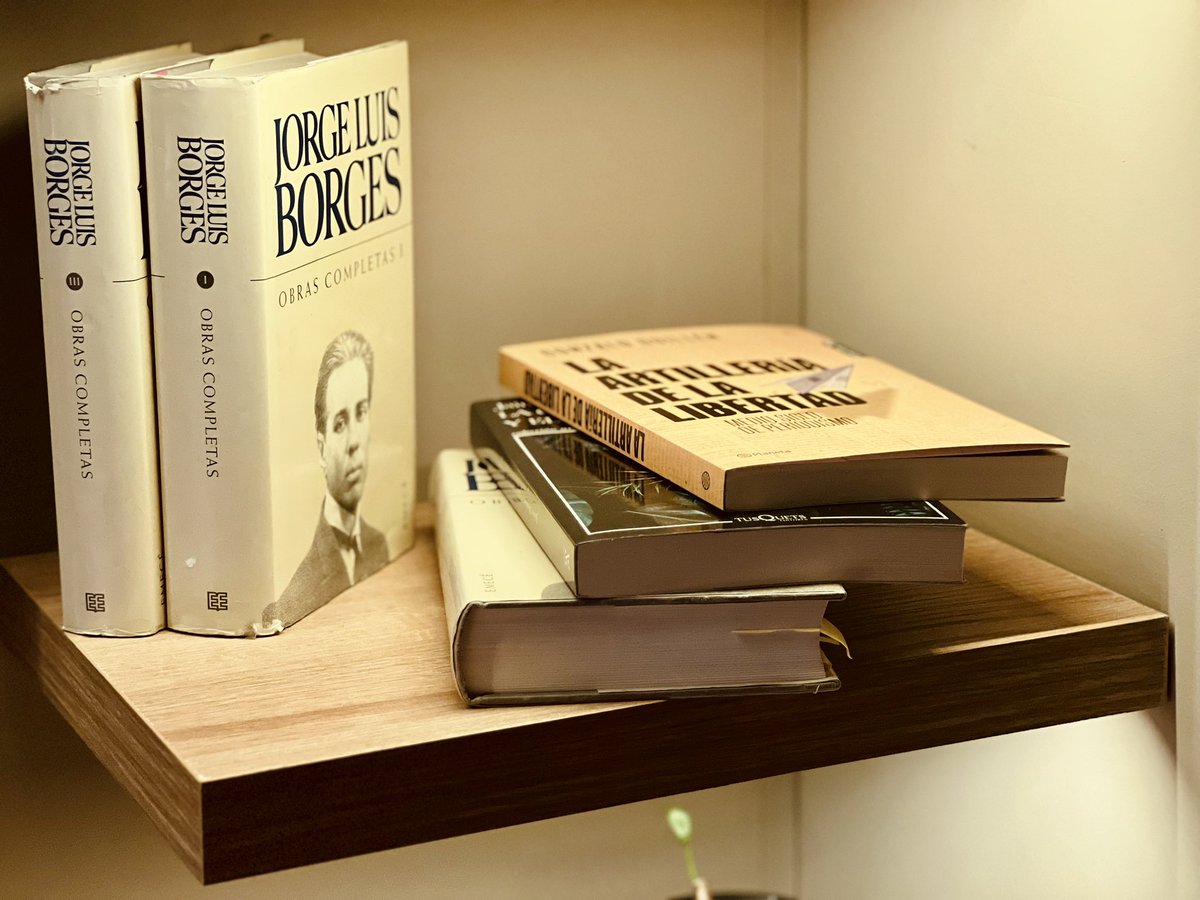 No viajo solo: mis libros me llevan a casa.