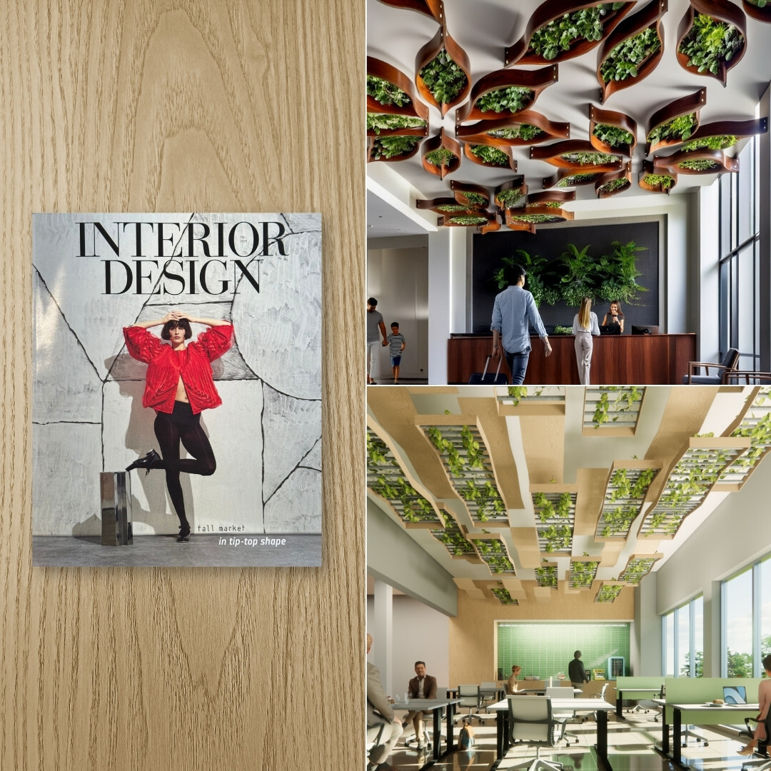 CSI_Creative_MN's tweet image. CSI Creative’s Summer Wind Collection has officially been featured in the Architectural Products category of Interior Design Magazine’s Fall Market Tabloid. Check it out and see how Summer Wind can bring sculpted acoustic performance to your next space.