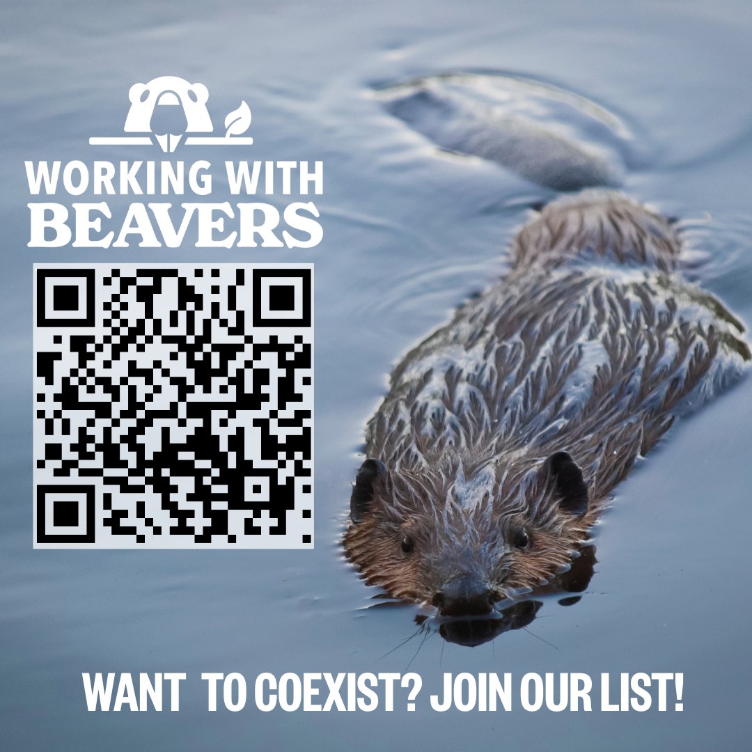 Cows and Fish | Riparian Management Society tweet media