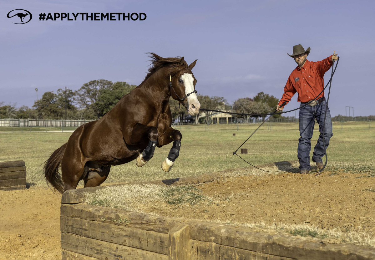 DownunderHorse's tweet image. From showing Tennessee Walkers to riding trails in the Smoky Mountain, Method Ambassador Chase Tipton grew up loving horses and honing his horsemanship skills. Now he helps riders build partnerships with their horses using the Method.
certifiedclinician.com/clinician/chas…
#ApplyTheMethod
