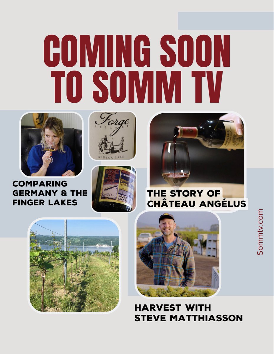 sommtv's tweet photo. We just dropped a brand new film and we have lots more!  With over 500 hours of the best wine and food content , SOMM TV is a must for lovers of travel and the culinary world.

https://t.co/Ebb6TfH4aM https://t.co/7cDP5yL6os