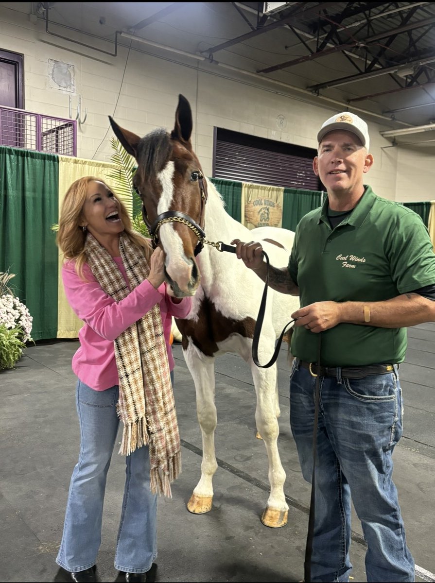 Heather Vitale tweet media