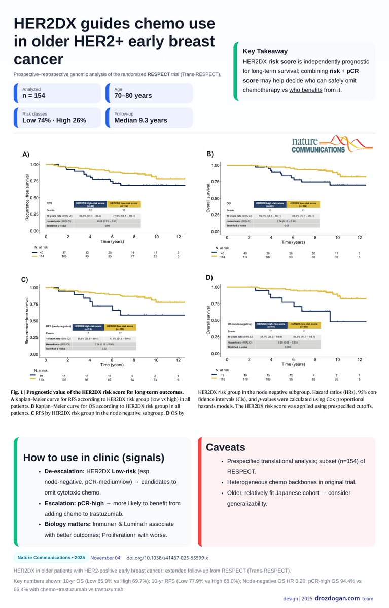 Precision beyond age: the Trans-RESPECT study redefines HER2⁺ care for older women.

In this prospective–retrospective analysis of the RESPECT trial, HER2DX—a 27-gene assay by Reveal Genomics—proved independently prognostic in women aged 70–80 with early-stage HER2⁺ breast