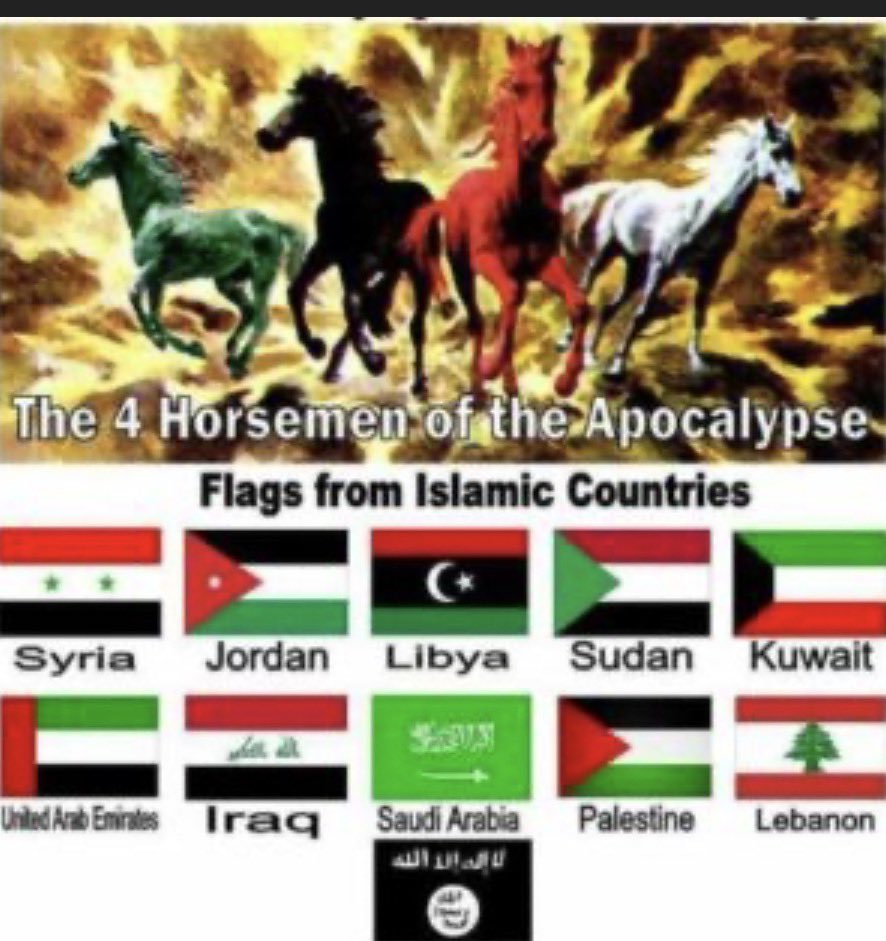 FreedomReigns2's tweet photo. @MAGA__Patriot @Sadie_NC 4 horsemen of the apocalypse - what colour do the horses and these flags have in common. https://t.co/DIxwm10Mvr