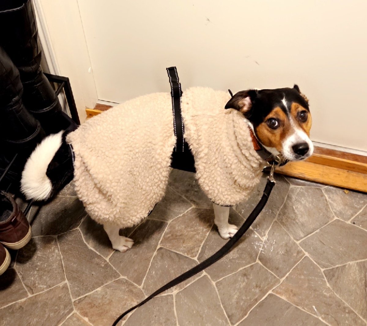 Maren Østbø tweet media