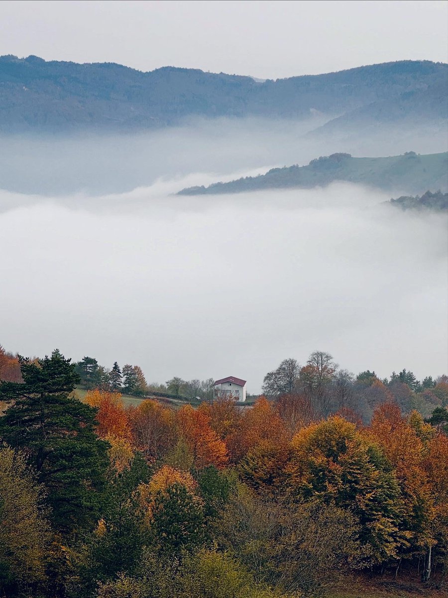 hazan 🍁

#sonbahar #autumn #shotoniphone