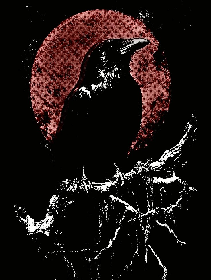 ᅟ ࣪ᅟ *ᅟ ˖͢𓋲⃠ᅟ ⌣ᅟ ᴴᴱᴸᴸ𝖘𝐈𝐍𝐆ᅟ ⸸ tweet media