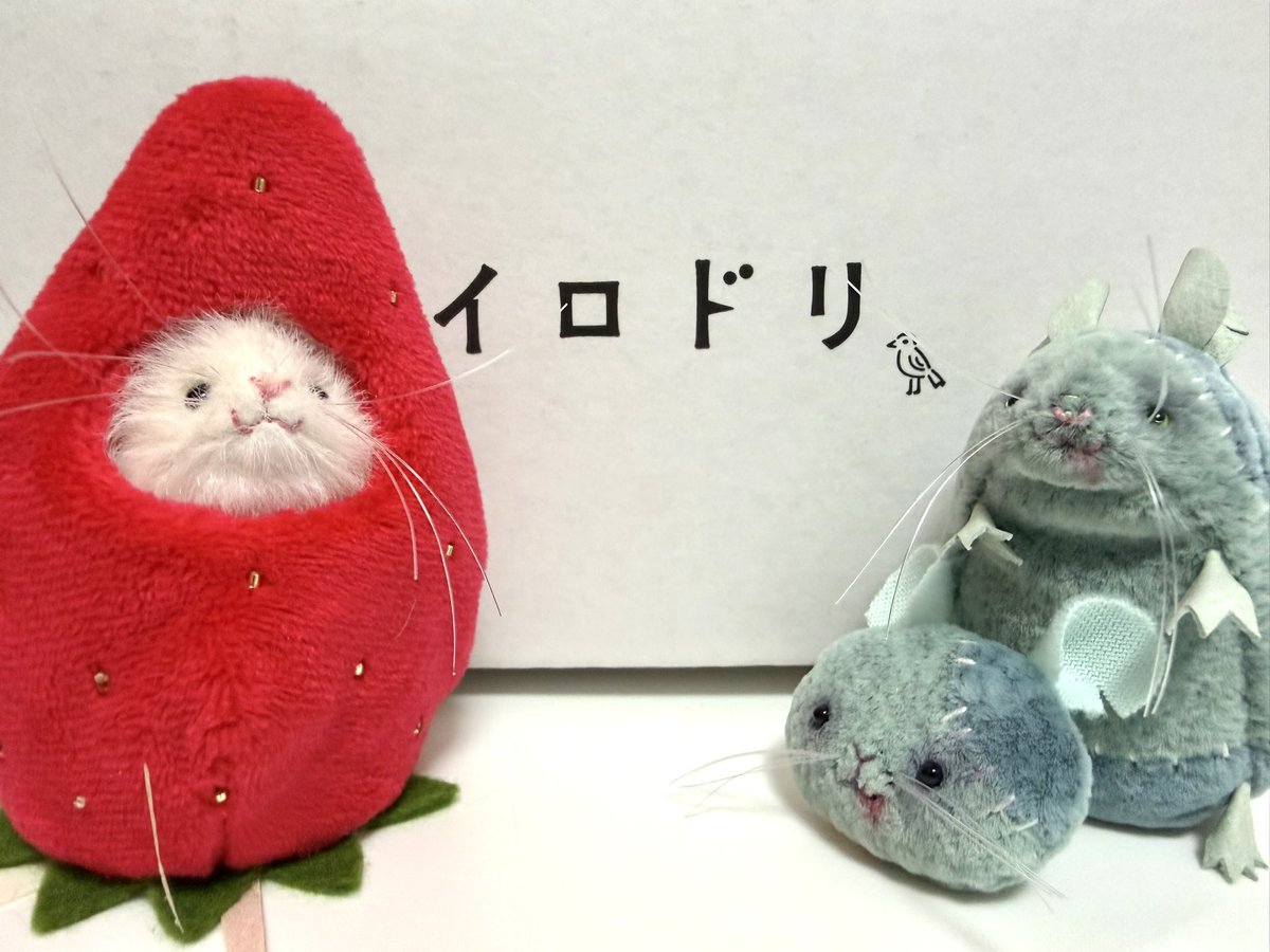 三角ユウリ (@hks_triangle) / Posts / X