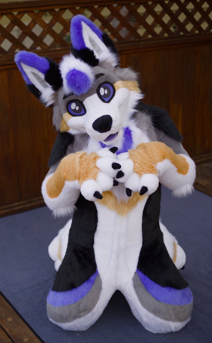 Am I a good coyote? 🥺

📸/🪡: Wild Dog Works