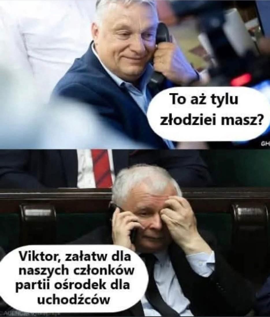 G5FrlzbXcAA5VYy?format=jpg&name=medium