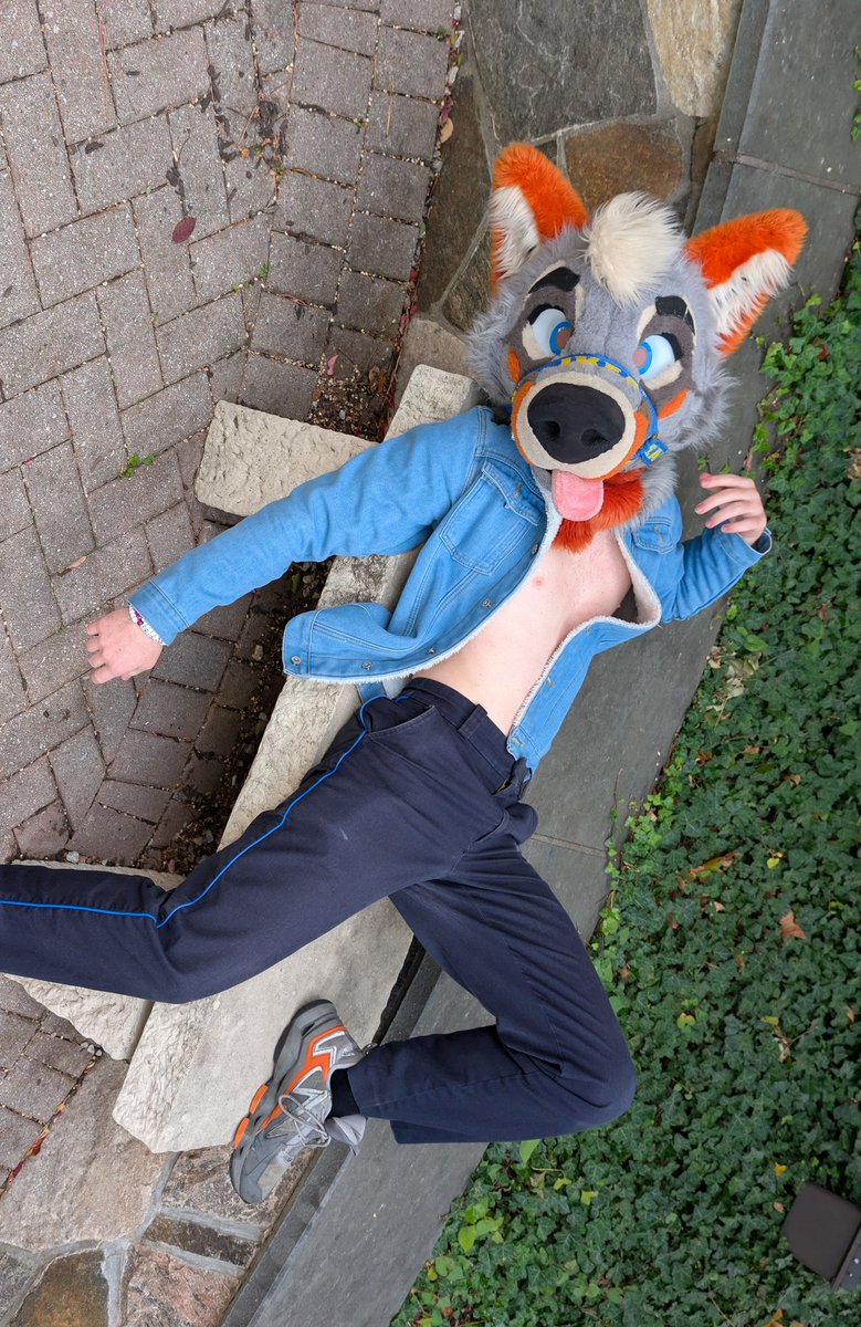 PartDoggo's tweet image. Looking4pawjob