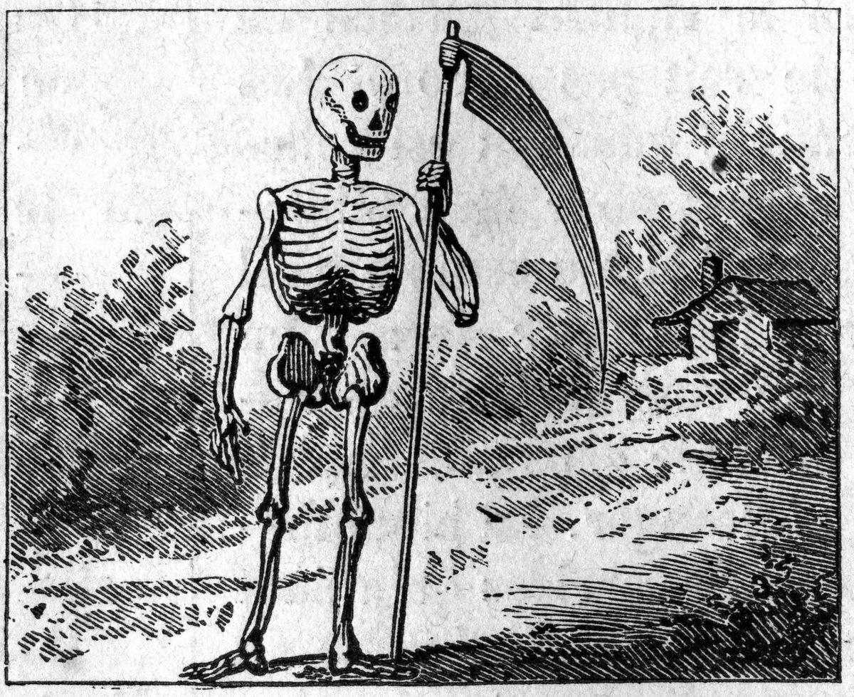 MonsterCas tweet media