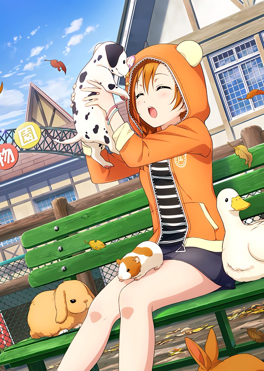 🧡🧡🧡🧡🧡🧡🧡🧡🧡🧡🧡🧡🧡🧡