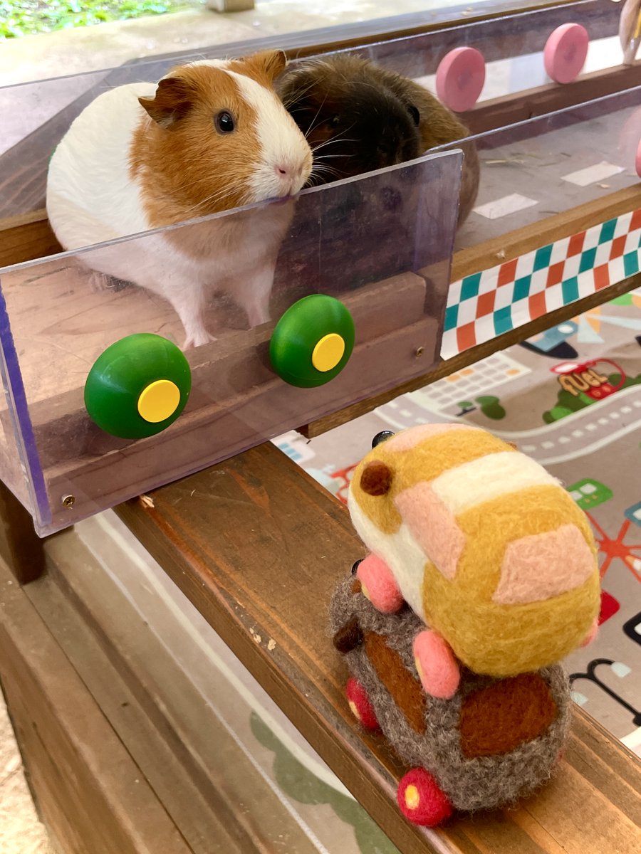 ぴんぽんぱんだ (@Cassini_Panda) / Posts / X