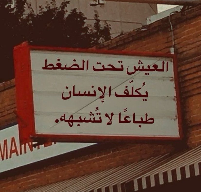 1Mo7t's tweet image. 