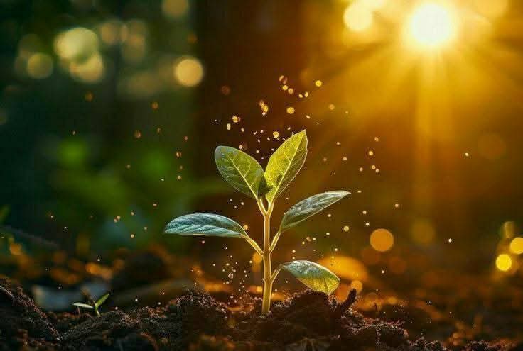 <a href="/0fozi_/">Fauzia</a> <a href="/frq05/">Farooq Ahmad</a> <a href="/S111_9/">SHAHID MEHMOOD</a>
<a href="/Fk0_1/">Shahid (lover pti)</a> <a href="/s4566_/">(PTI)</a> @spti_2 <a href="/786F_/">Shahid</a>
<a href="/shZ447/">🌻🌻🌻𝕊𝕙𝕒𝕙𝕫𝕒𝕕 𝕄𝕦𝕟𝕚𝕣🌻🌻🌻</a> <a href="/TZB_5/">Chaudhary Tehzib</a> <a href="/3zia3/">Zia ud din GB</a> <a href="/1Lvz0/">𝐿𝒶v𝑒𝑒𝓏𝒶_🍃</a>
<a href="/FK_71/">FK_71</a> <a href="/_Ik_78/">barkat Ullah pti</a> <a href="/Bla_Here/">🅰🅱🅳🆄🅻🅻🅰🅷𝓲𝓹𝓲𝓪𝓷</a>
<a href="/1i2Ua/">🇦 🇭 🇲 🇪 🇩 🇷 🇮 🇦 🇿𝓲𝓹𝓲𝓪𝓷</a> <a href="/1i3Ua/">🇦 🇭 🇲 🇪 🇩</a> <a href="/Biak3_/">༄ⁱᵐ✿🅱️IAᵏʰᵃⁿ࿐</a>
<a href="/7Ambr/">Amber Baig</a>
<a href="/0MRK_/">Mahrukh Khan</a>
🍒#PAK_PG
<a href="/frq_5/">m farooq</a>
<a href="/frq06/">Farooq</a>
<a href="/imrnv/">CH Imran</a> <a href="/imra0b/">Goat city Form</a>
<a href="/Smm01/">Rana</a> <a href="/Triq25/">⤹𝙈𝙪𝙝𝙖𝙢𝙢𝙖𝙙 𝙏𝙖𝙧𝙞𝙦⤸</a> <a href="/frq_3/">farooq mughal</a>
<a href="/Khld36/">✍𝙆𝙝𝙖𝙡𝙞𝙙 𝙃𝙪𝙨𝙖𝙞𝙣✍⳼</a> <a href="/Frhn42/">★𝙁𝙧𝙝𝙖𝙣 𝘼𝙝𝙢𝙚𝙙★</a> <a href="/Trq88/">✍︎⸙𝐓αɾιϙ 𝐌υɾƚαȥα࿈</a>
<a href="/Jann064/">Ahmad Jan</a> <a href="/6Jan11/">jan</a> <a href="/_ah064/">Ahmad</a>
<a href="/P0_27/">PTI _ PROMO</a> <a href="/F7861_/">Rana Fahid</a> <a href="/_0zoi/">Zoya Hamid</a> <a href="/0fozi/">Fauzia Hamid</a>