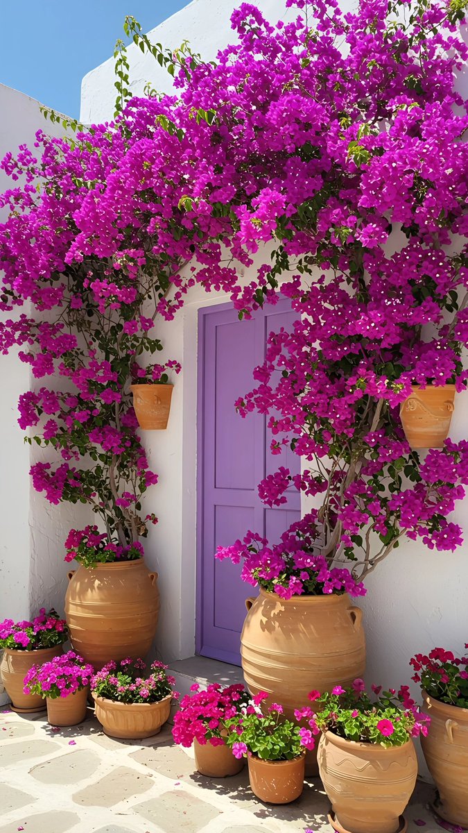 <a href="/0fozi_/">Fauzia</a> <a href="/frq05/">Farooq Ahmad</a> <a href="/S111_9/">SHAHID MEHMOOD</a>
<a href="/Fk0_1/">Shahid (lover pti)</a> <a href="/s4566_/">(PTI)</a> @spti_2 <a href="/786F_/">Shahid</a>
<a href="/shZ447/">🌻🌻🌻𝕊𝕙𝕒𝕙𝕫𝕒𝕕 𝕄𝕦𝕟𝕚𝕣🌻🌻🌻</a> <a href="/TZB_5/">Chaudhary Tehzib</a> <a href="/3zia3/">Zia ud din GB</a> <a href="/1Lvz0/">𝐿𝒶v𝑒𝑒𝓏𝒶_🍃</a>
<a href="/FK_71/">FK_71</a> <a href="/_Ik_78/">barkat Ullah pti</a> <a href="/Bla_Here/">🅰🅱🅳🆄🅻🅻🅰🅷𝓲𝓹𝓲𝓪𝓷</a>
<a href="/1i2Ua/">🇦 🇭 🇲 🇪 🇩 🇷 🇮 🇦 🇿𝓲𝓹𝓲𝓪𝓷</a> <a href="/1i3Ua/">🇦 🇭 🇲 🇪 🇩</a> <a href="/Biak3_/">༄ⁱᵐ✿🅱️IAᵏʰᵃⁿ࿐</a>
<a href="/7Ambr/">Amber Baig</a>
<a href="/0MRK_/">Mahrukh Khan</a>
🍒#PAK_PG
<a href="/frq_5/">m farooq</a>
<a href="/frq06/">Farooq</a>
<a href="/imrnv/">CH Imran</a> <a href="/imra0b/">Goat city Form</a>
<a href="/Smm01/">Rana</a> <a href="/Triq25/">⤹𝙈𝙪𝙝𝙖𝙢𝙢𝙖𝙙 𝙏𝙖𝙧𝙞𝙦⤸</a> <a href="/frq_3/">farooq mughal</a>
<a href="/Khld36/">✍𝙆𝙝𝙖𝙡𝙞𝙙 𝙃𝙪𝙨𝙖𝙞𝙣✍⳼</a> <a href="/Frhn42/">★𝙁𝙧𝙝𝙖𝙣 𝘼𝙝𝙢𝙚𝙙★</a> <a href="/Trq88/">✍︎⸙𝐓αɾιϙ 𝐌υɾƚαȥα࿈</a>
<a href="/Jann064/">Ahmad Jan</a> <a href="/6Jan11/">jan</a> <a href="/_ah064/">Ahmad</a>
<a href="/P0_27/">PTI _ PROMO</a> <a href="/F7861_/">Rana Fahid</a> <a href="/_0zoi/">Zoya Hamid</a> <a href="/0fozi/">Fauzia Hamid</a>