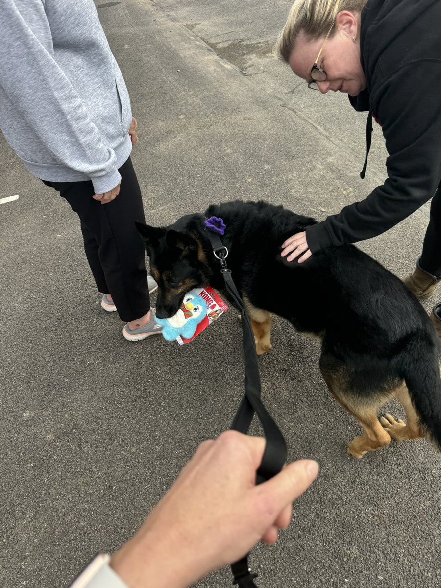 I went to the Renew centre today for a check up . I love it there 🥰 Had some acupuncture , ate some cheese,  gave some blood and got to chose a toy for Xmas .. I got myself a blue penguin 🐧💙🐾