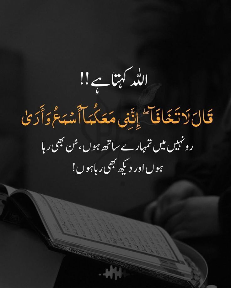 <a href="/0fozi_/">Fauzia</a> <a href="/frq05/">Farooq Ahmad</a> <a href="/S111_9/">SHAHID MEHMOOD</a>
<a href="/Fk0_1/">Shahid (lover pti)</a> <a href="/s4566_/">(PTI)</a> @spti_2 <a href="/786F_/">Shahid</a>
<a href="/shZ447/">🌻🌻🌻𝕊𝕙𝕒𝕙𝕫𝕒𝕕 𝕄𝕦𝕟𝕚𝕣🌻🌻🌻</a> <a href="/TZB_5/">Chaudhary Tehzib</a> <a href="/3zia3/">Zia ud din GB</a> <a href="/1Lvz0/">𝐿𝒶v𝑒𝑒𝓏𝒶_🍃</a>
<a href="/FK_71/">FK_71</a> <a href="/_Ik_78/">barkat Ullah pti</a> <a href="/Bla_Here/">🅰🅱🅳🆄🅻🅻🅰🅷𝓲𝓹𝓲𝓪𝓷</a>
<a href="/1i2Ua/">🇦 🇭 🇲 🇪 🇩 🇷 🇮 🇦 🇿𝓲𝓹𝓲𝓪𝓷</a> <a href="/1i3Ua/">🇦 🇭 🇲 🇪 🇩</a> <a href="/Biak3_/">༄ⁱᵐ✿🅱️IAᵏʰᵃⁿ࿐</a>
<a href="/7Ambr/">Amber Baig</a>
<a href="/0MRK_/">Mahrukh Khan</a>
🍒#PAK_PG
<a href="/frq_5/">m farooq</a>
<a href="/frq06/">Farooq</a>
<a href="/imrnv/">CH Imran</a> <a href="/imra0b/">Goat city Form</a>
<a href="/Smm01/">Rana</a> <a href="/Triq25/">⤹𝙈𝙪𝙝𝙖𝙢𝙢𝙖𝙙 𝙏𝙖𝙧𝙞𝙦⤸</a> <a href="/frq_3/">farooq mughal</a>
<a href="/Khld36/">✍𝙆𝙝𝙖𝙡𝙞𝙙 𝙃𝙪𝙨𝙖𝙞𝙣✍⳼</a> <a href="/Frhn42/">★𝙁𝙧𝙝𝙖𝙣 𝘼𝙝𝙢𝙚𝙙★</a> <a href="/Trq88/">✍︎⸙𝐓αɾιϙ 𝐌υɾƚαȥα࿈</a>
<a href="/Jann064/">Ahmad Jan</a> <a href="/6Jan11/">jan</a> <a href="/_ah064/">Ahmad</a>
<a href="/P0_27/">PTI _ PROMO</a> <a href="/F7861_/">Rana Fahid</a> <a href="/_0zoi/">Zoya Hamid</a> <a href="/0fozi/">Fauzia Hamid</a>