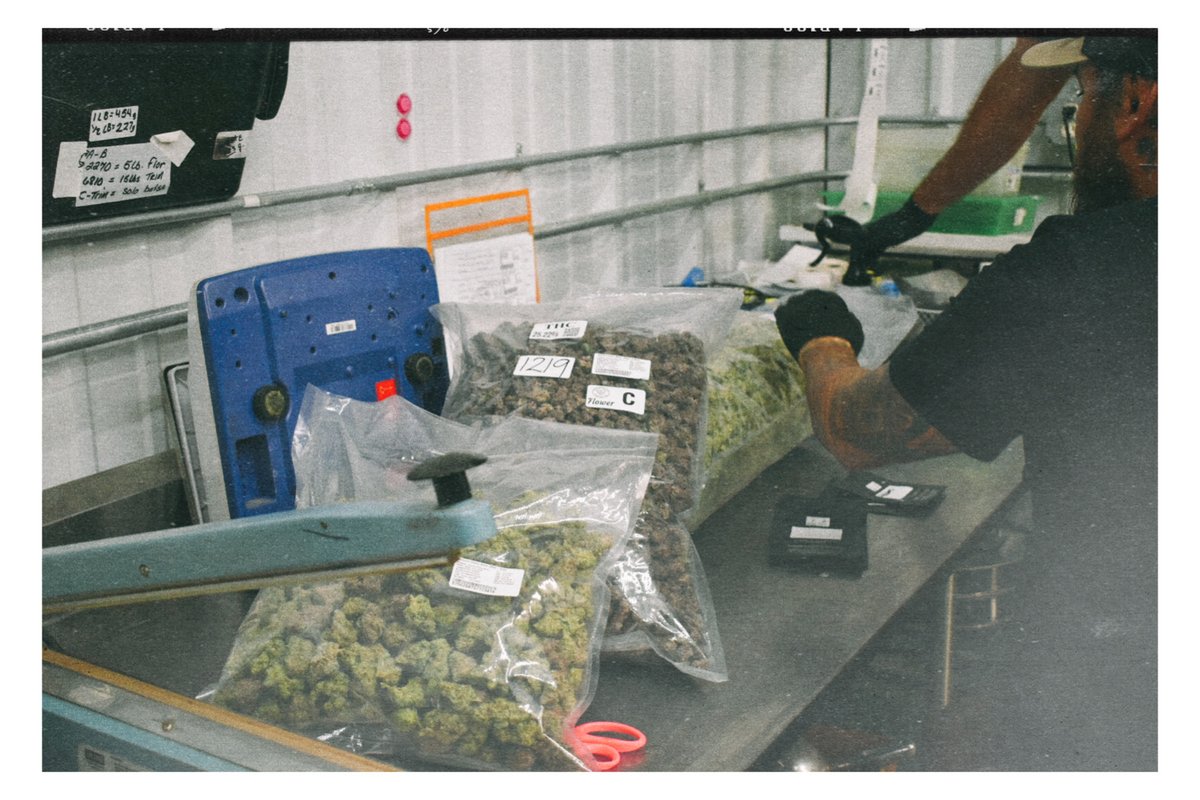 Pecos Valley Production - Dispensary & Wholesale tweet media