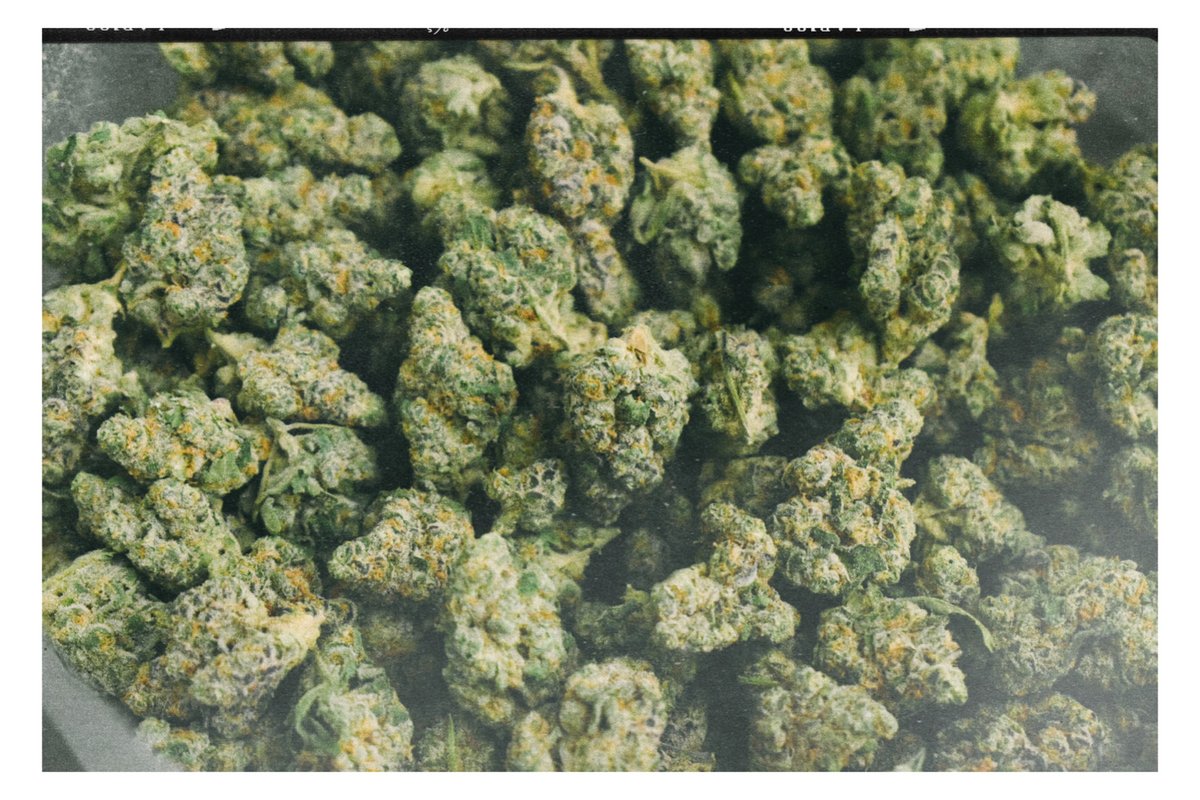 Pecos Valley Production - Dispensary & Wholesale tweet media