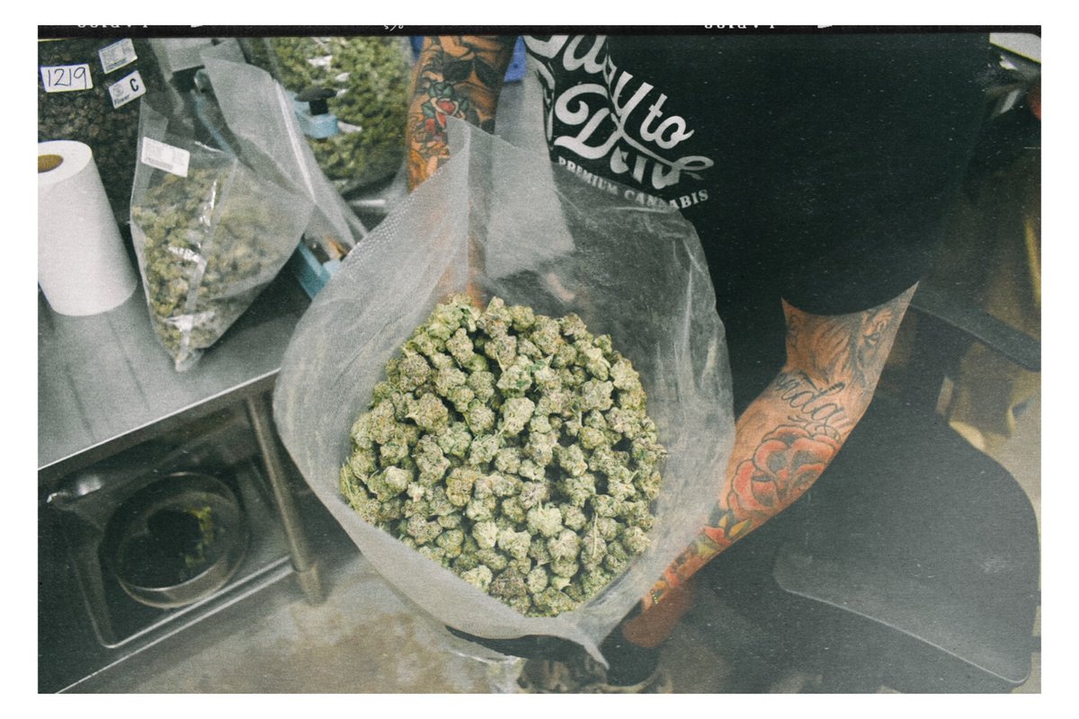 Pecos Valley Production - Dispensary & Wholesale tweet media