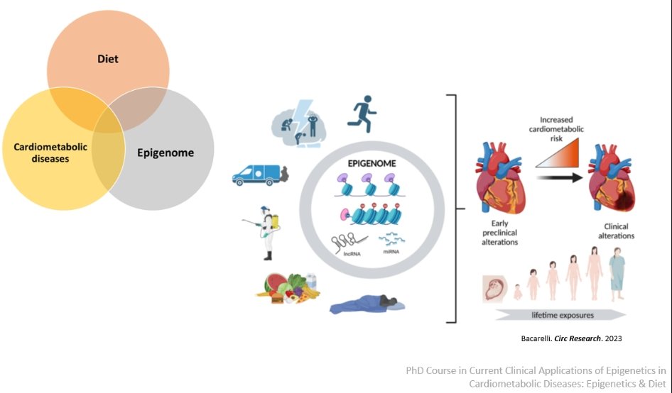 ✨Grateful to be a guest speaker at the PhD course “Clinical Applications of Epigenetics in Cardiometabolic Diseases” at <a href="/karolinskainst/">Karolinska Institutet</a>

Thanks to Julia Sánchez-Ceinos, Aida Collado &amp; the team for the kind invitation and great organization.