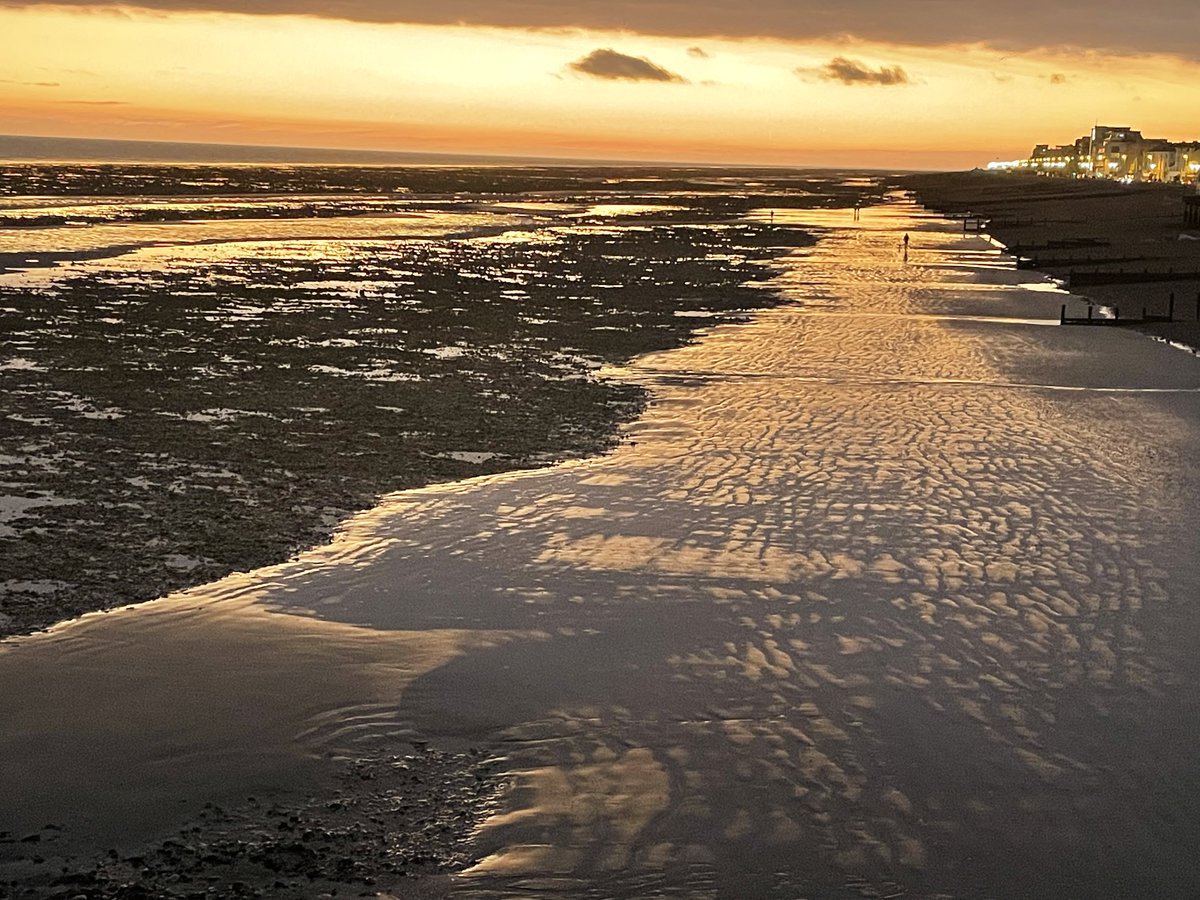 GRidgett's tweet image. 