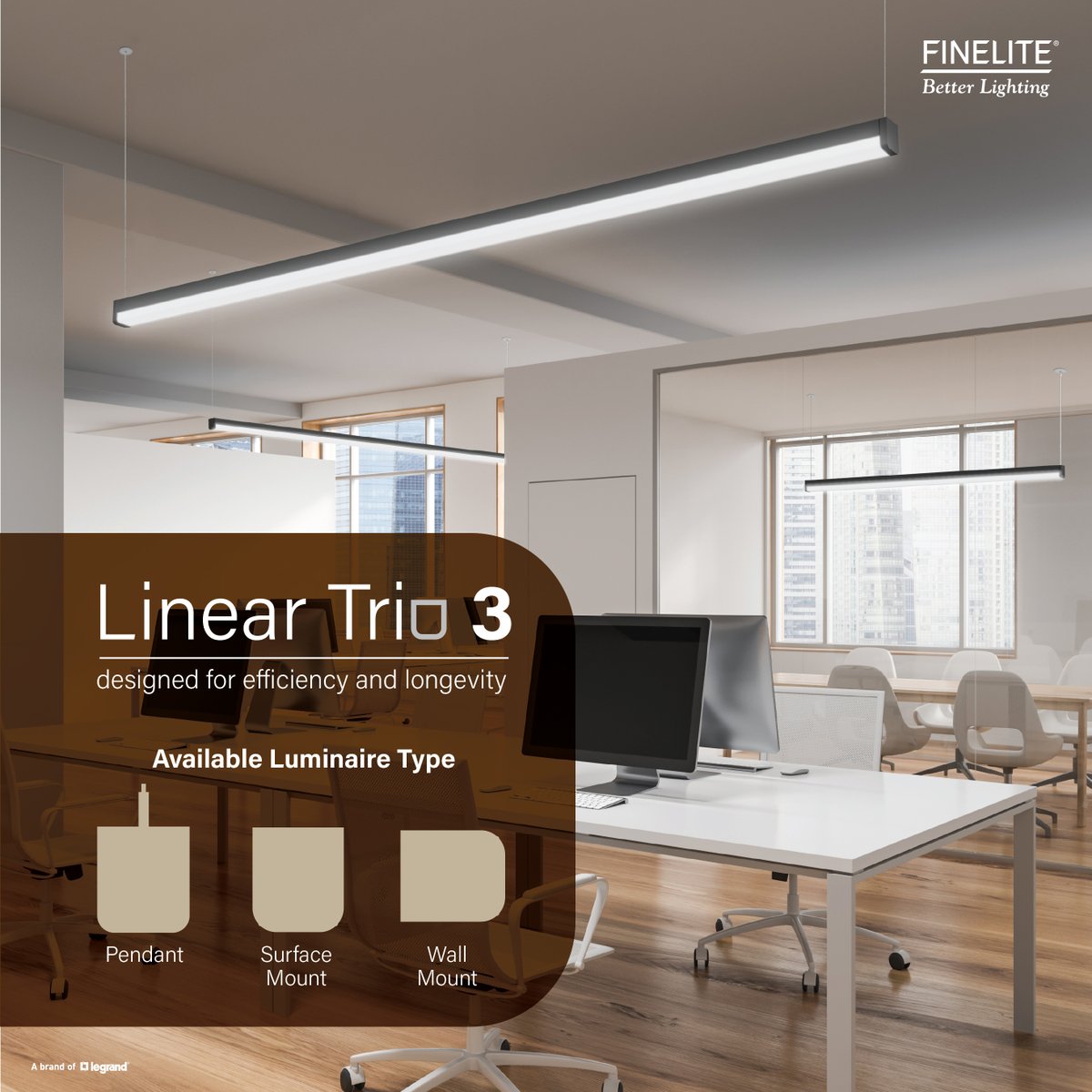 Finelite tweet media