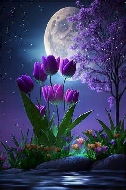 <a href="/0fozi_/">Fauzia</a> <a href="/frq05/">Farooq Ahmad</a> <a href="/S111_9/">SHAHID MEHMOOD</a>
<a href="/Fk0_1/">Shahid (lover pti)</a> <a href="/s4566_/">(PTI)</a> @spti_2 <a href="/786F_/">Shahid</a>
<a href="/shZ447/">🌻🌻🌻𝕊𝕙𝕒𝕙𝕫𝕒𝕕 𝕄𝕦𝕟𝕚𝕣🌻🌻🌻</a> <a href="/TZB_5/">Chaudhary Tehzib</a> <a href="/3zia3/">Zia ud din GB</a> <a href="/1Lvz0/">𝐿𝒶v𝑒𝑒𝓏𝒶_🍃</a>
<a href="/FK_71/">FK_71</a> <a href="/_Ik_78/">barkat Ullah pti</a> <a href="/Bla_Here/">🅰🅱🅳🆄🅻🅻🅰🅷𝓲𝓹𝓲𝓪𝓷</a>
<a href="/1i2Ua/">🇦 🇭 🇲 🇪 🇩 🇷 🇮 🇦 🇿𝓲𝓹𝓲𝓪𝓷</a> <a href="/1i3Ua/">🇦 🇭 🇲 🇪 🇩</a> <a href="/Biak3_/">༄ⁱᵐ✿🅱️IAᵏʰᵃⁿ࿐</a>
<a href="/7Ambr/">Amber Baig</a>
<a href="/0MRK_/">Mahrukh Khan</a>
🍒#PAK_PG
<a href="/frq_5/">m farooq</a>
<a href="/frq06/">Farooq</a>
<a href="/imrnv/">CH Imran</a> <a href="/imra0b/">Goat city Form</a>
<a href="/Smm01/">Rana</a> <a href="/Triq25/">⤹𝙈𝙪𝙝𝙖𝙢𝙢𝙖𝙙 𝙏𝙖𝙧𝙞𝙦⤸</a> <a href="/frq_3/">farooq mughal</a>
<a href="/Khld36/">✍𝙆𝙝𝙖𝙡𝙞𝙙 𝙃𝙪𝙨𝙖𝙞𝙣✍⳼</a> <a href="/Frhn42/">★𝙁𝙧𝙝𝙖𝙣 𝘼𝙝𝙢𝙚𝙙★</a> <a href="/Trq88/">✍︎⸙𝐓αɾιϙ 𝐌υɾƚαȥα࿈</a>
<a href="/Jann064/">Ahmad Jan</a> <a href="/6Jan11/">jan</a> <a href="/_ah064/">Ahmad</a>
<a href="/P0_27/">PTI _ PROMO</a> <a href="/F7861_/">Rana Fahid</a> <a href="/_0zoi/">Zoya Hamid</a> <a href="/0fozi/">Fauzia Hamid</a>