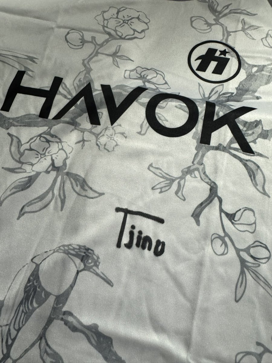 Team HavoK tweet media