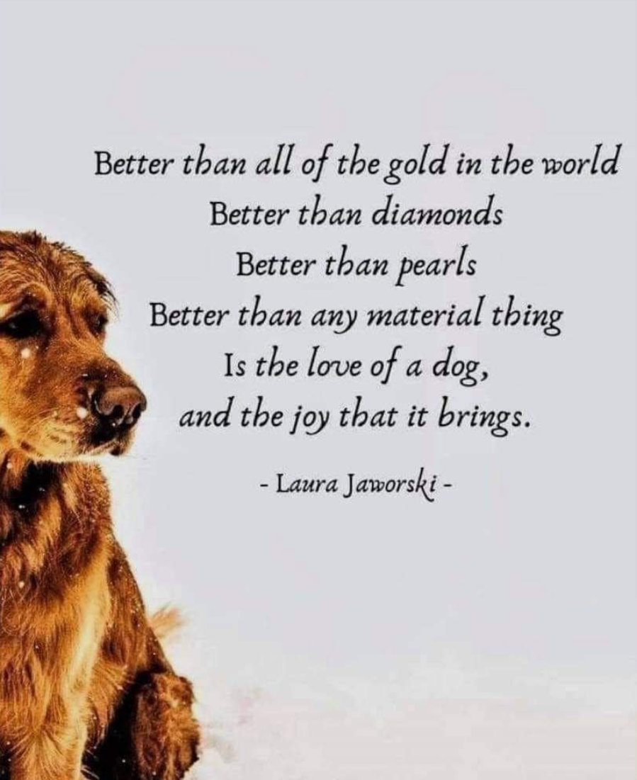 Dalbodog's tweet photo. So true. https://t.co/S4W8AIvZL0