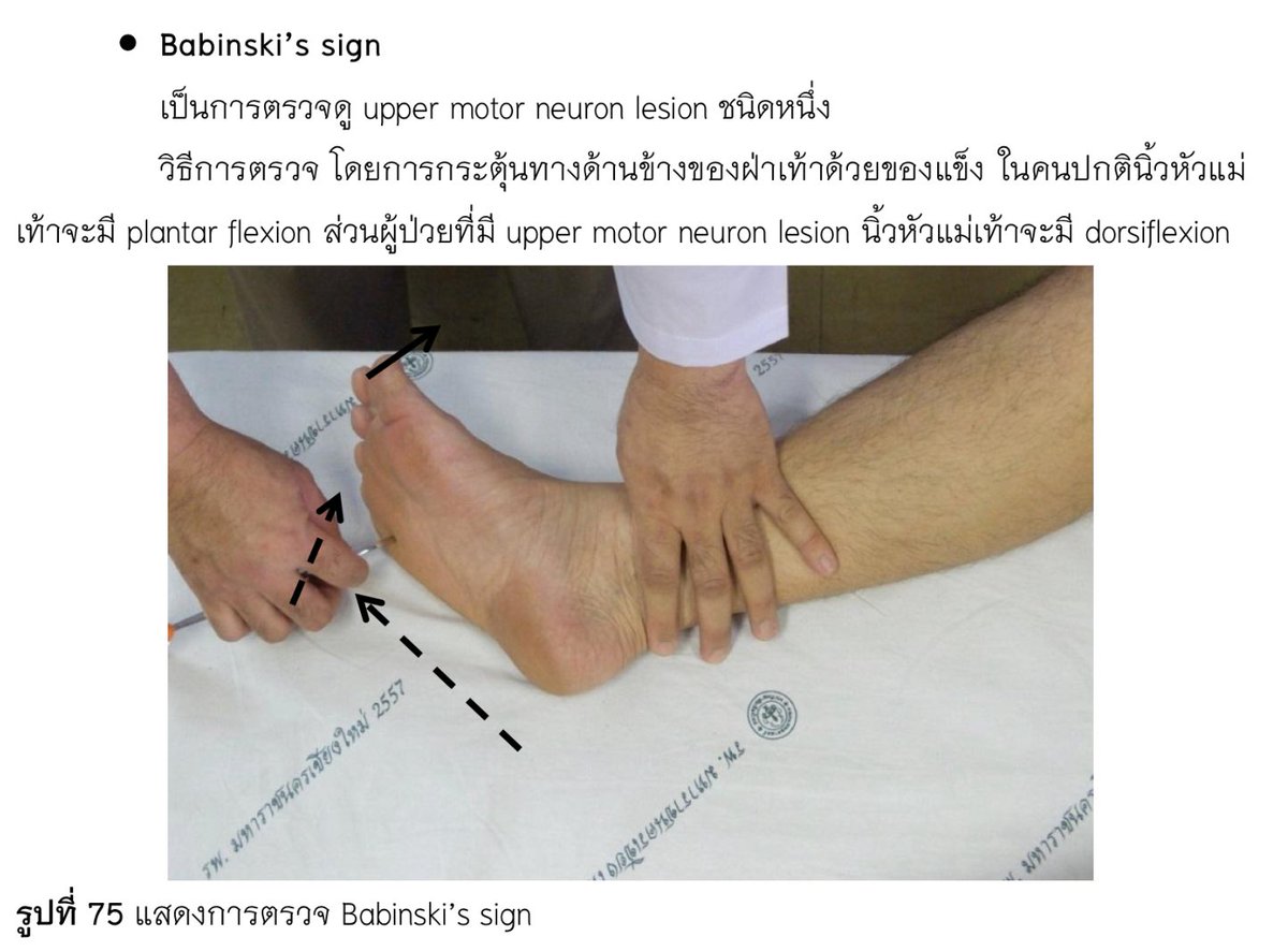 PPtoTheWorld tweet media