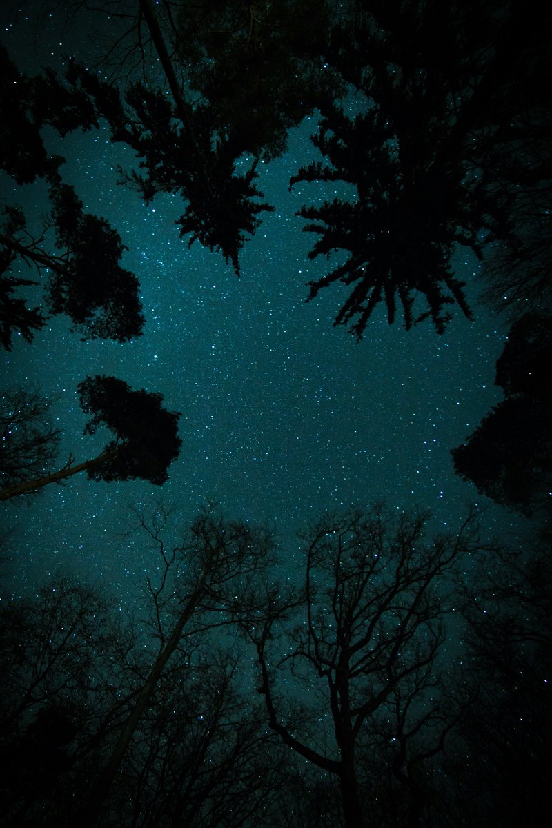 astro4pics's tweet photo. Under the stars ✨ https://t.co/pXSfHLfmEx