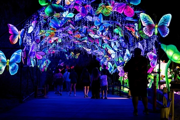 lumileds's tweet image. RGB #LEDs bring @TianyuArts to life in @CityofPhoenixAZ 💡

See how more than 1,000 handcrafted illuminated lanterns transform @camelbackranch into a mile-long glowing world: bit.ly/47P2URk