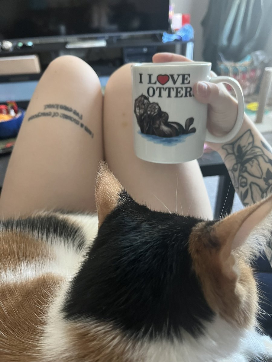 avoidmoosey's tweet image. hi twitter fans (nobody) i remembered you exist again, here’s my update