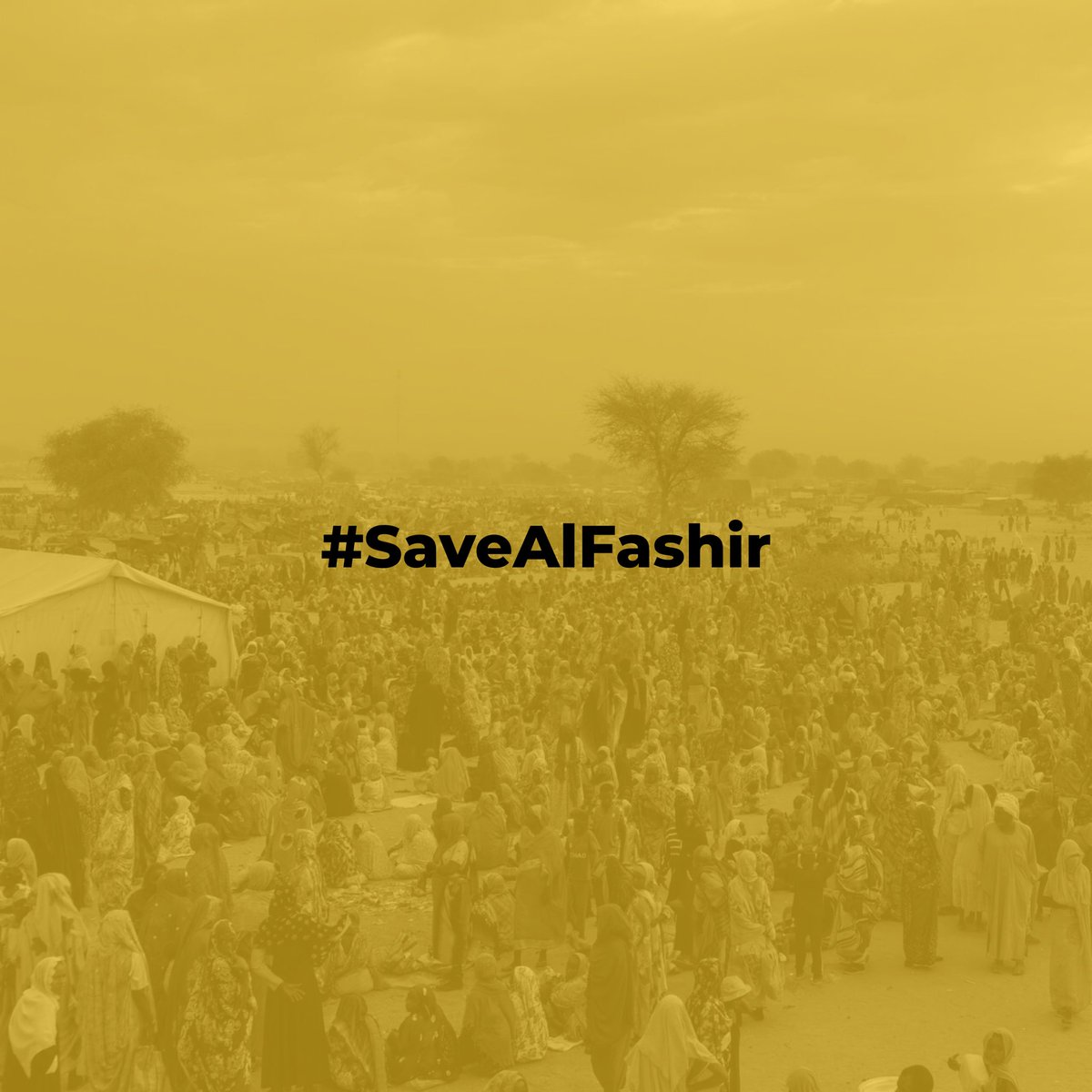 Moonlig13652486's tweet image. #SaveAlFashir