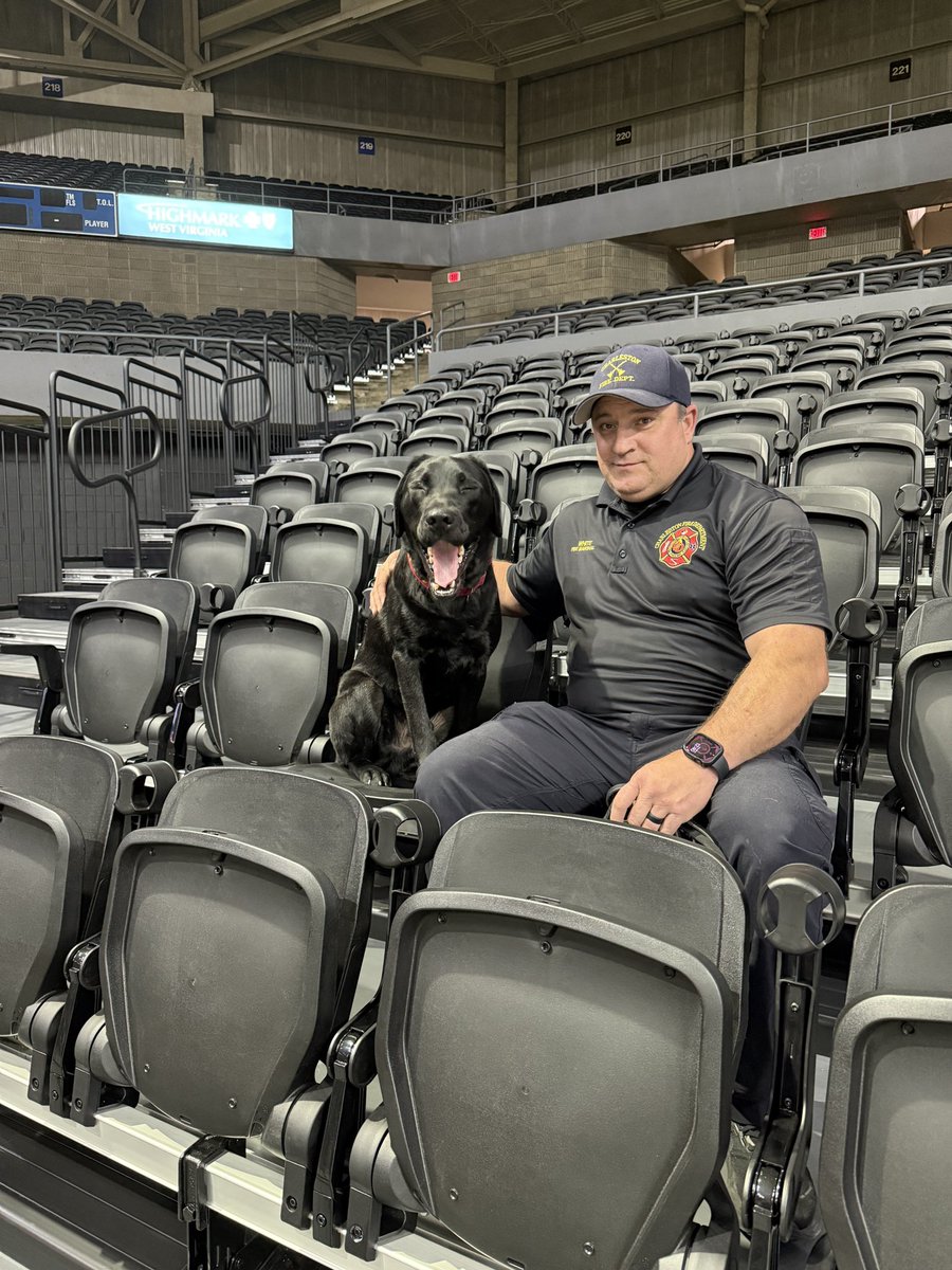 HannahClineWCHS's tweet image. The new seats at the Charleston Coliseum &amp;amp; Convention Center are Pancake approved 🐶