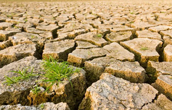 #Dégradation des #terres : La #FAO alerte sur une #menace touchant environ 1,7 #milliard de #personnes

<a href="/FAO/">Food and Agriculture Organization</a> 

PLUS DE DÉTAILS ICI 📷

agratime.com/degradation-de…