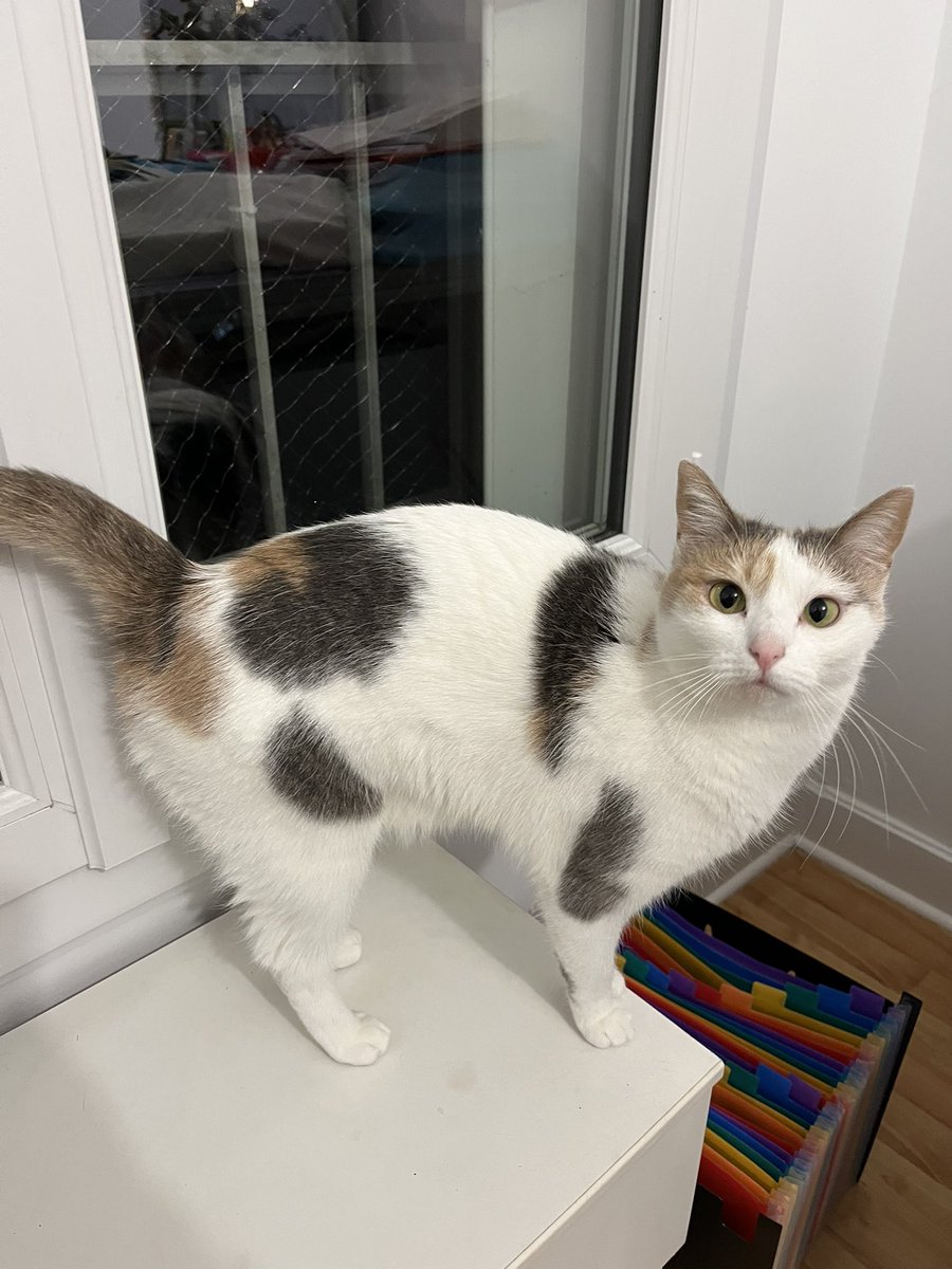 qu’est-ce que tu regardes comme ça toi ??? 🫣