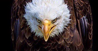 Wayne (@mshsneo) on Twitter photo 