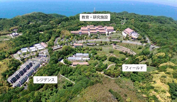 本日限定❣️¥49、999からの大幅値下げ‼️アナと雪の女王電動自動車日本未発売 おぐ (@ogu2_2) / Posts / X