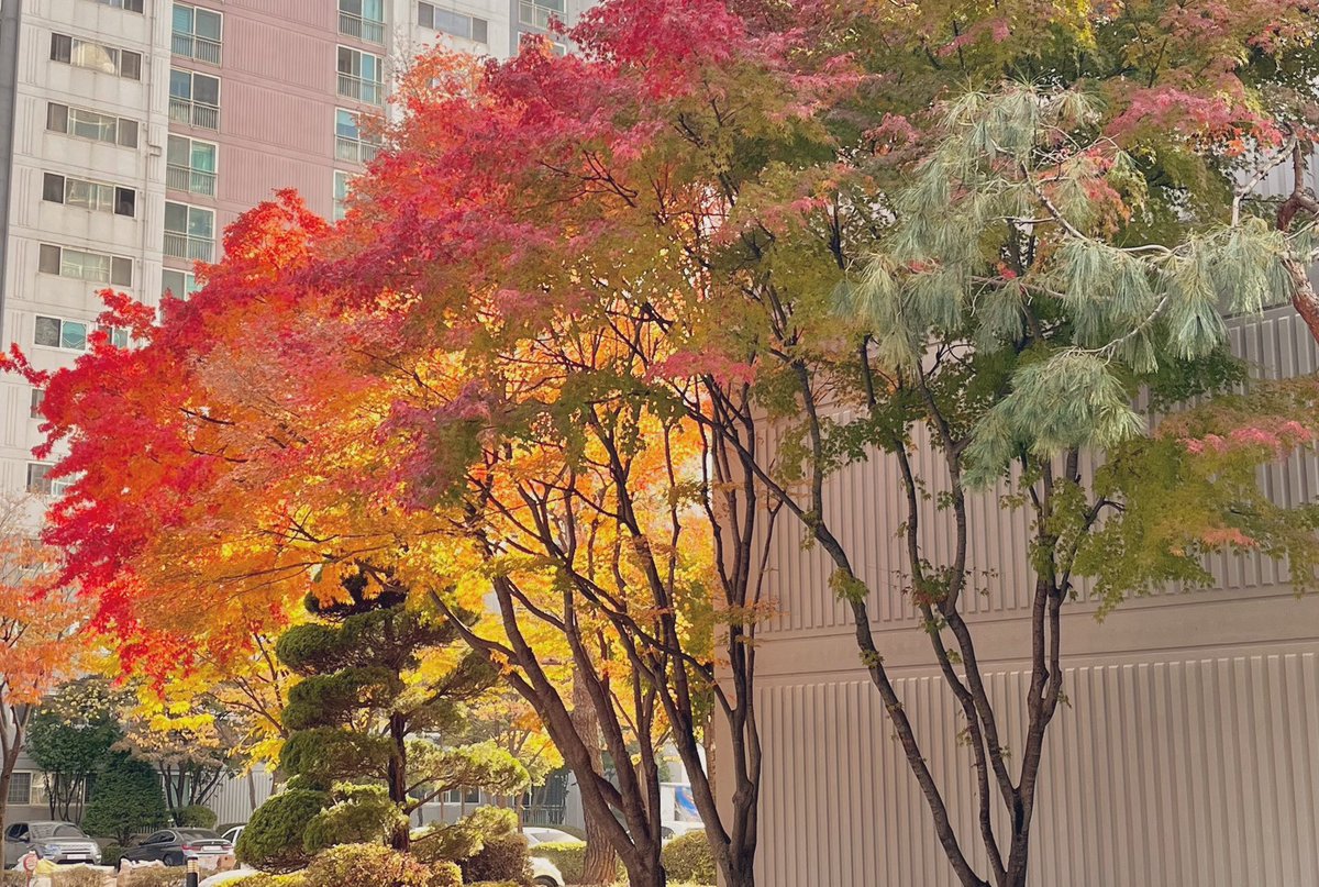 쫀 (@ohgongs) on Twitter photo 