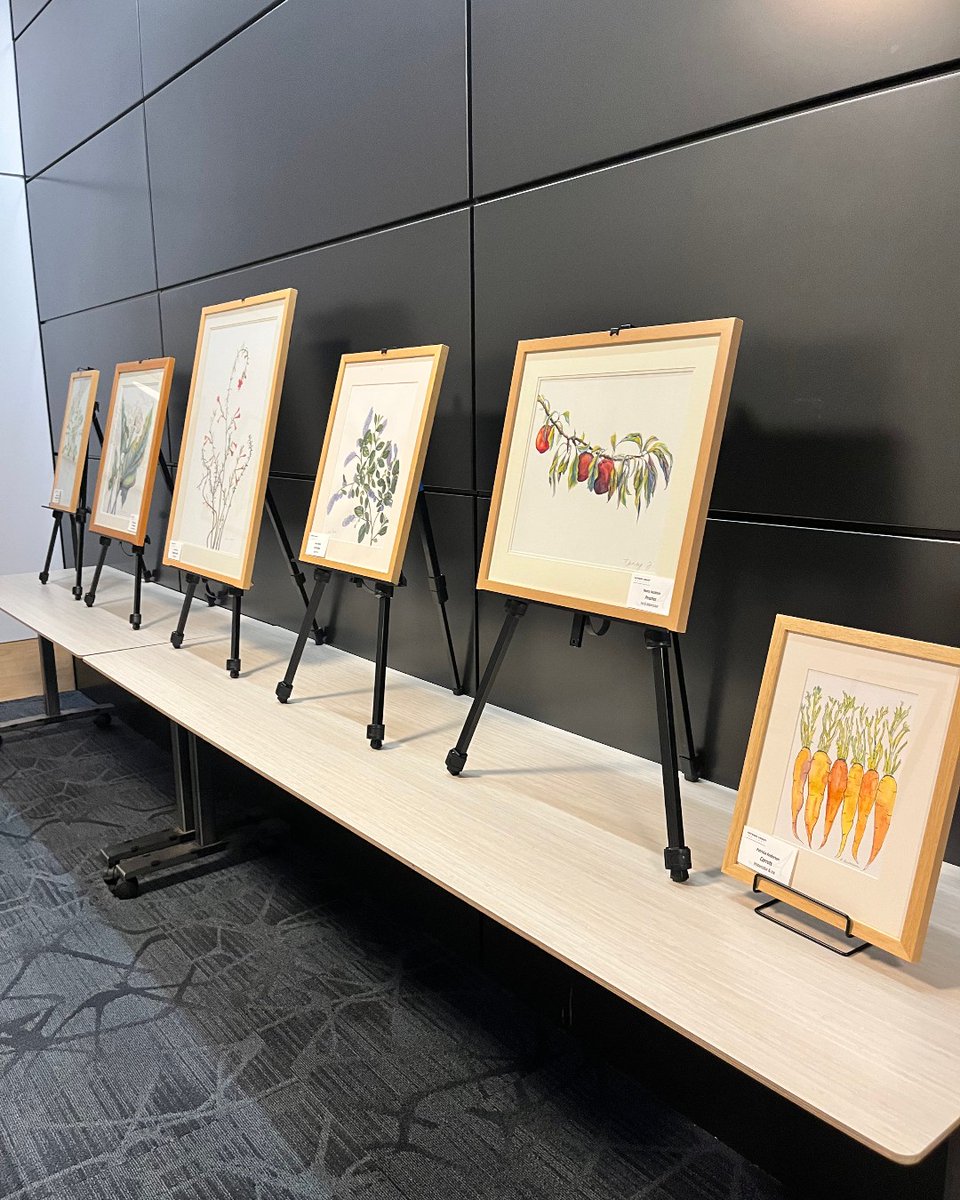 HaywardLibrary's tweet image. There&apos;s still time to see the Local Botanical Plants of Parks &amp;amp; Gardens at the Downtown Library (2nd floor). The exhibit showcases Hayward Arts Council members&apos; botanical illustrations of local Iris hybridizers. It&apos;ll be on display until November 8. 

hayward-ca.gov/public-library…