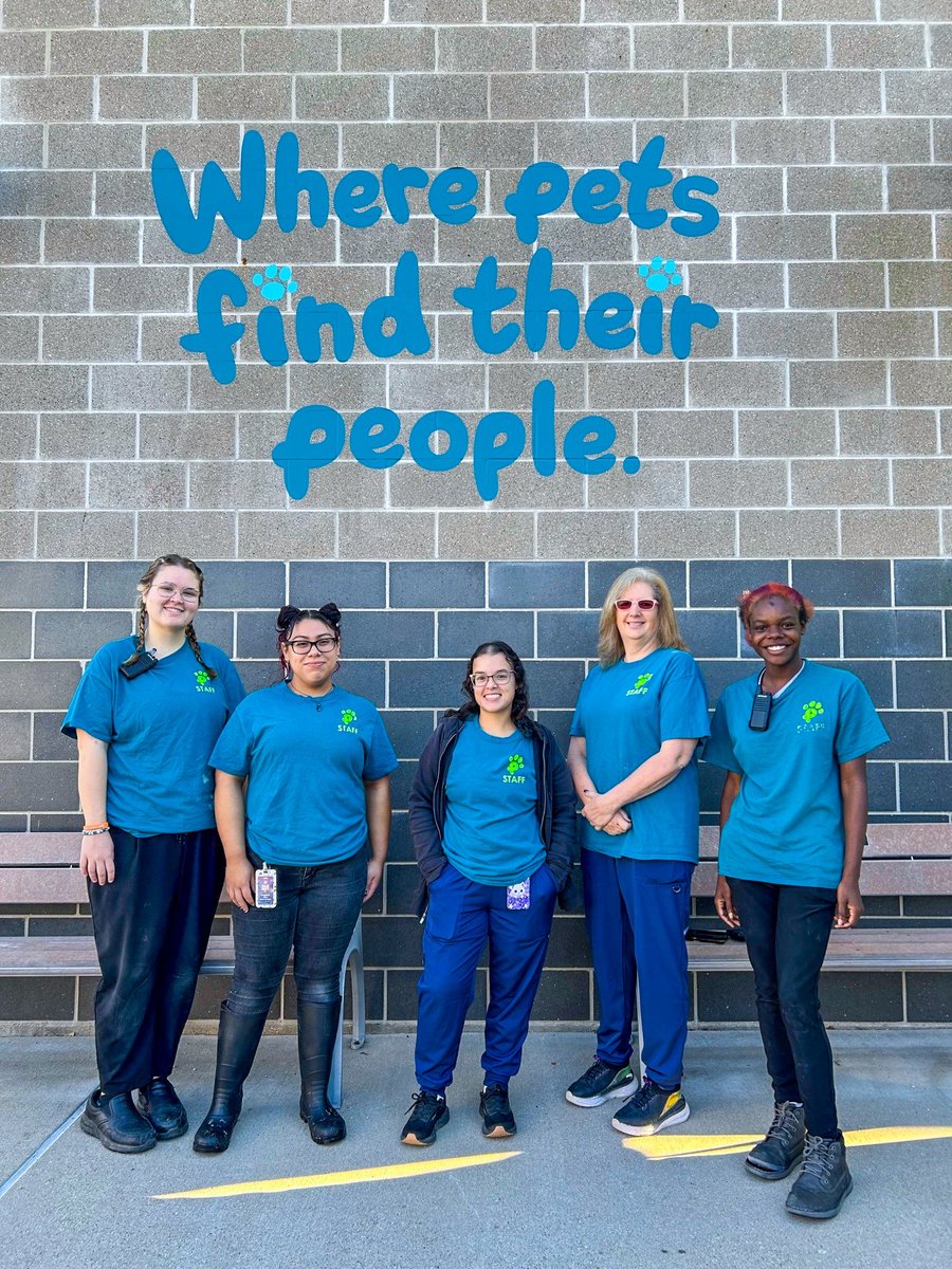 🎉 It's Animal Shelter Appreciation Week! 🎉
This afternoon, we’re shining a spotlight on our incredible Animal Services Team! 💛
L-R: Bailey, Evangelina, Elissa, Tina, &amp; Desiray (not pictured: Sarah, Breanna, Haley, &amp; Miranda) 
#AnimalShelterAppreciationWeek #WacoAnimalServices