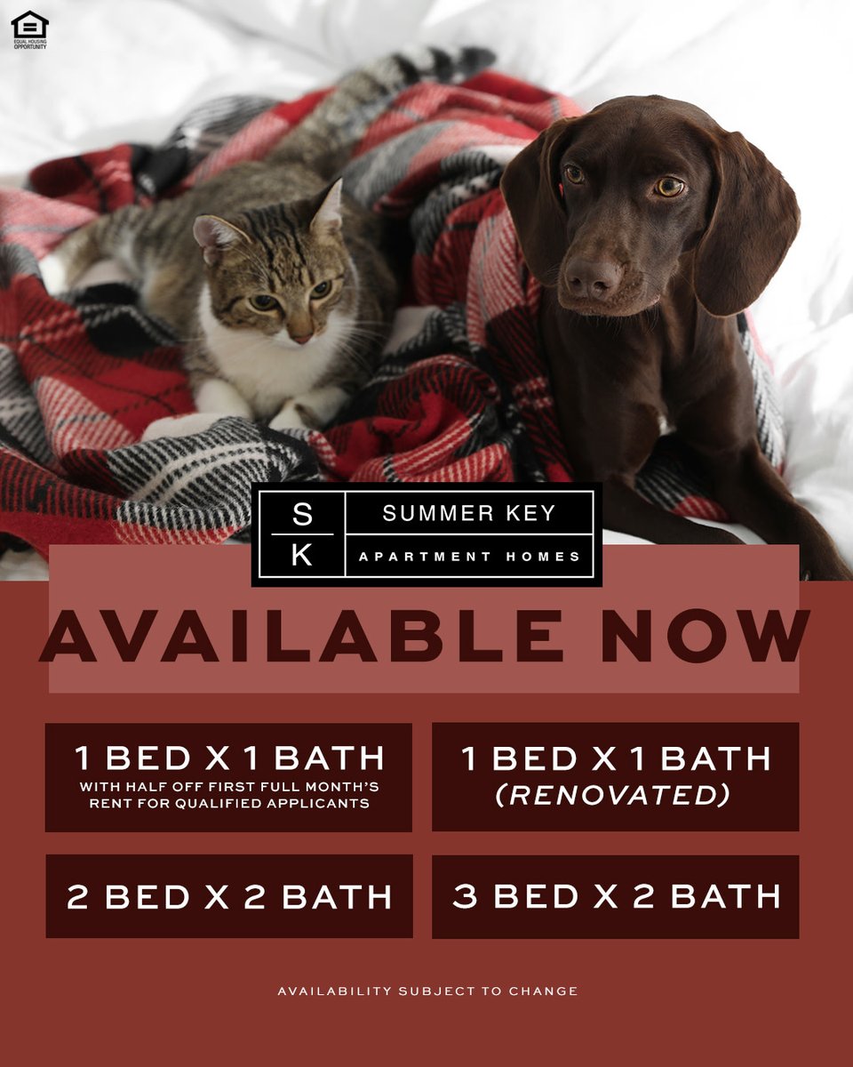 SummerKeyofAL's tweet image. Harvest happiness at #SummerKey #Apartments! 🍂🧡 Fall into your dream home this Thanksgiving season with our beautiful 1-, 2- and 3-bedroom apartments—some freshly renovated! ✨

📝 Cozy spaces and pet-friendly living—apply now at summerkeyal.com.