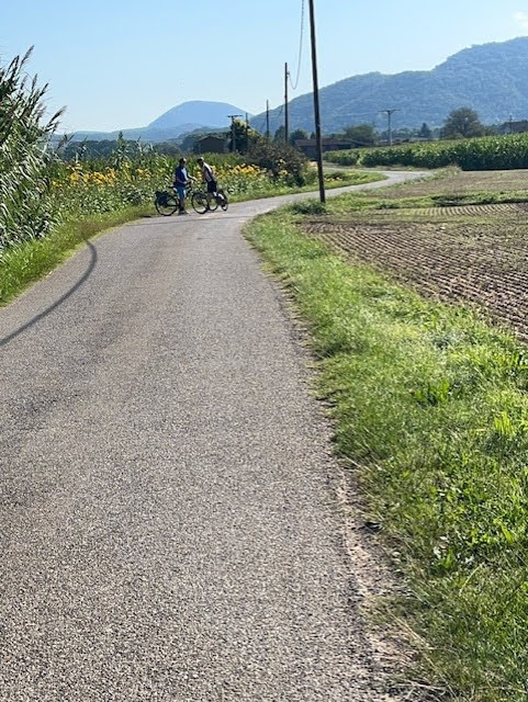 Cycling for Softies tweet media