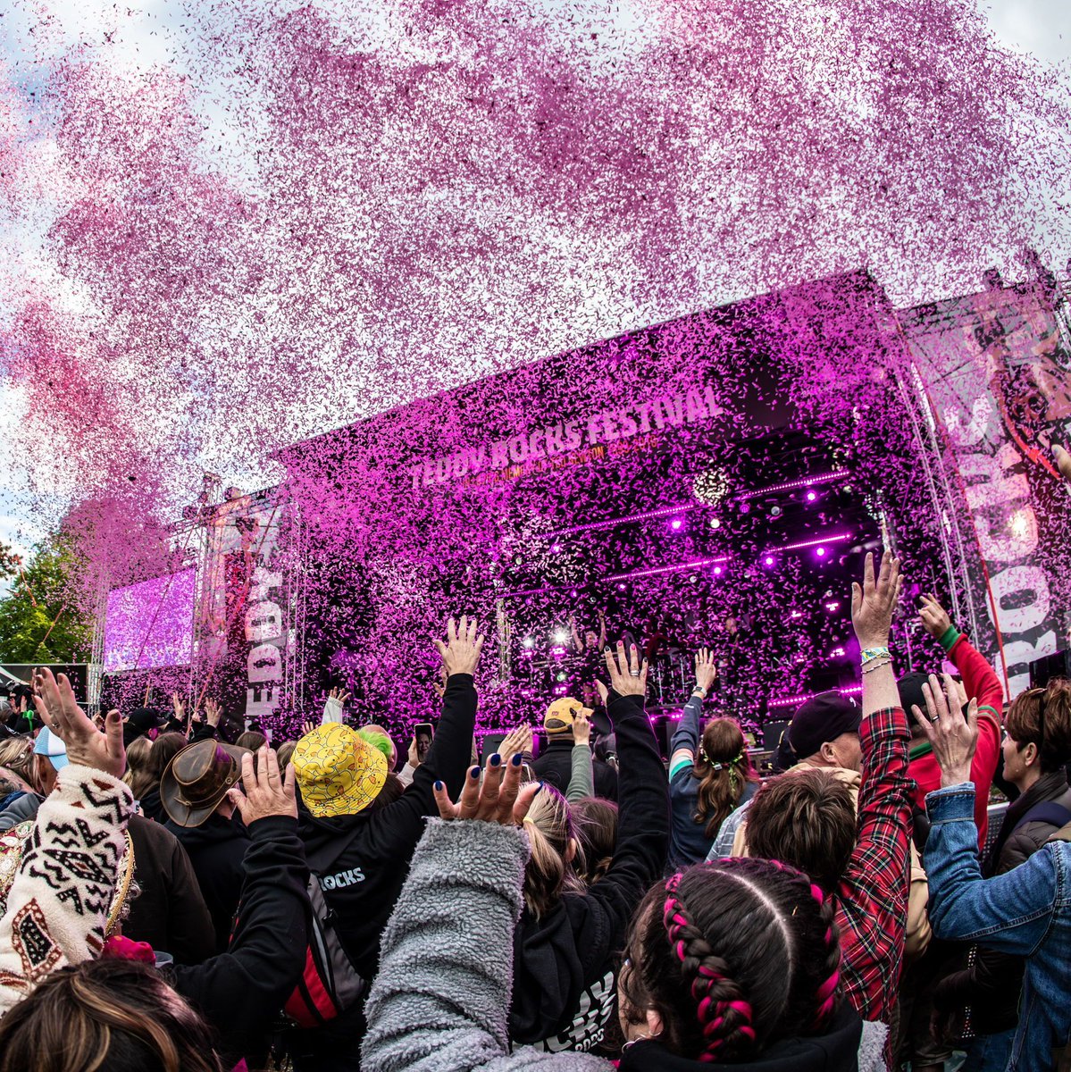 Teddy Rocks Festival tweet media