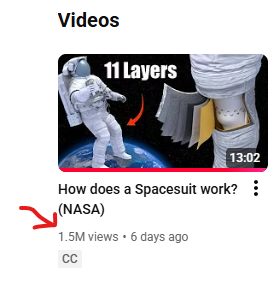 Riding the YouTube Algorithm!  Thank you for all the views🤩