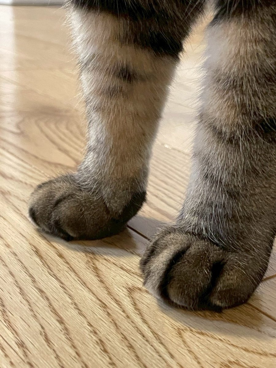 陣内 克彦 (@bagrom) / Posts / X